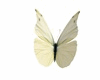 butterfly white animated