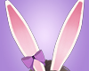 Bunny Ears + Bow