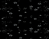 Stars Cutout
