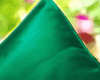 [PNY] Green Satin Pillow