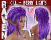 GILL - BERRY LIGHTS!