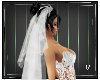 Alessandra Wedding Veil