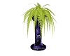 fern in  purple  urn