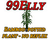 Bamboo plant - no reflex