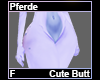 Pferde Cute Butt F