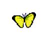 Animated Yellow Butterfl