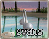 Romantic Swans/ tr GO