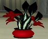 ~iiJ~ Red Orchid Plant