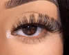 Eyelashes