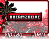 j| Dreamzalive And