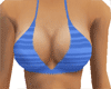 (J2Z) Blue Bikini Top
