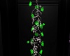 Green hanging Roses