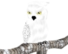 Animated Snow Owl