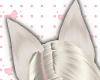 NNN. Fox Ear