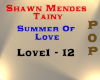 Shawn Mendes - Summer