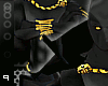 Wakanda's son [Brace R]
