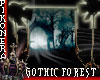 ! Gothic Forest PhotoDoc