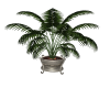 City Potted Plant 2