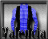{D}BlueSweater w.Vest