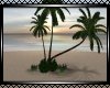 **Beautiful Palm Tree 3