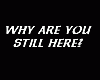 why you are still here