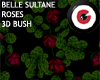 Belle Sultane Roses 3D