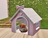 C| Dog house Princess