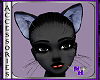 (1NA)Whiskers Blk purple