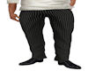 JN Striped Suit Pants
