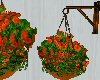 Hanging flowers orange 2