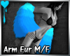 D~Arm Fur:Blue (M/F)