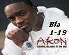 Akon - Sorry, Blame