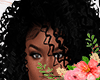 S. Mariana Black