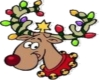 decorated reindeer