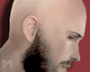 [M] Perfect Bald