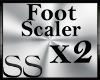 *SS Foot Scaler X2