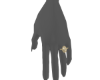 𝗌 Golden Ring LF
