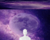 BG Night Purple