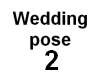 Wedding Pose 2