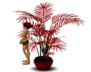 Red Potted Plant