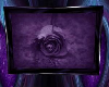Purple Rose Frame