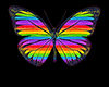 GayPride Butterfly Chain