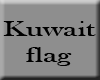 !MR! kuwait flag + pose