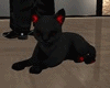 Black Red Gothic Cat
