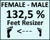 Feet Scaler 132,5%