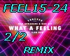 FEEL15-24-What feelingP2