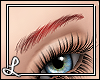 L| Cherry Eyebrows