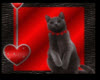 Black Cat n Heart