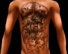[MM] Harley front&back