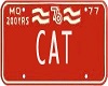 {v} Cat Licence Plate